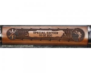 Tribute to the Railroad Worker - Rifle